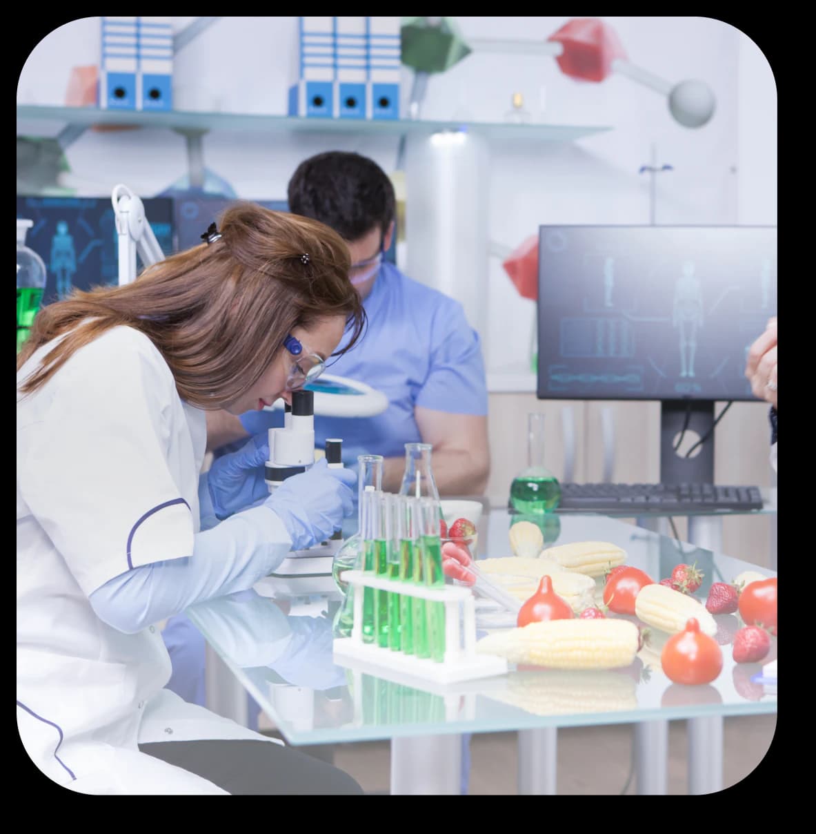 Healthcare, Pharmaceuticals & Lifesciences