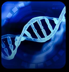 Life Sciences